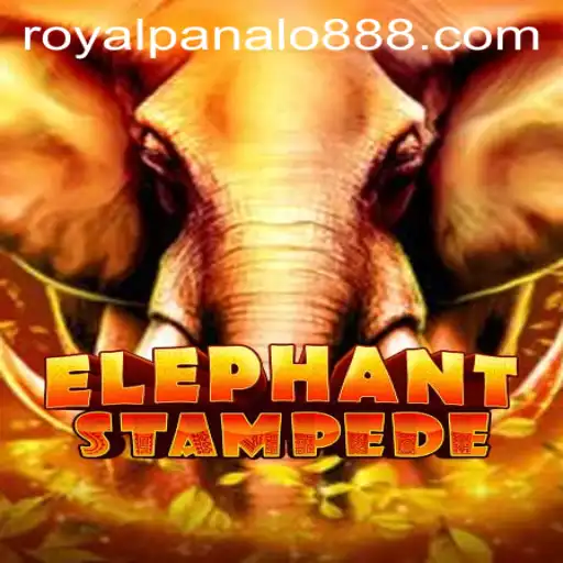 ElephantStampede: An Adventure with Royal Panalo